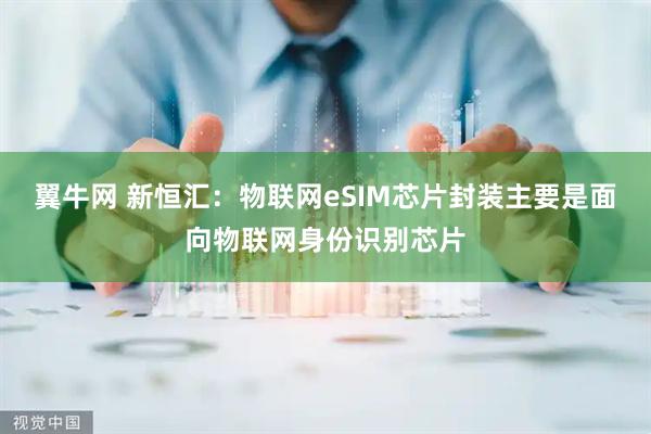 翼牛网 新恒汇：物联网eSIM芯片封装主要是面向物联网身份识别芯片