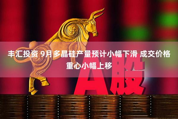 丰汇投资 9月多晶硅产量预计小幅下滑 成交价格重心小幅上移